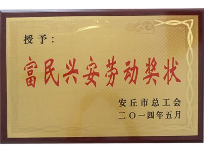 点击查看详细信息<br>标题：富民兴安劳动奖状 阅读次数：9393